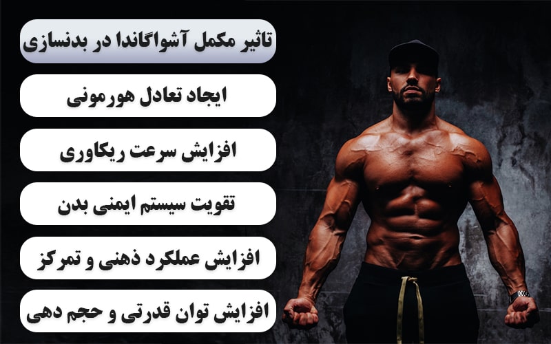 تاثیر مکمل آشواگاندا در بدنسازی